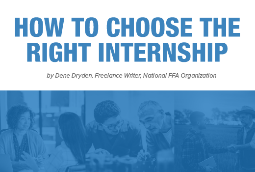 How To Choose The Right Internship